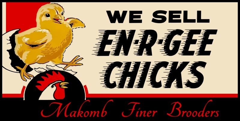 Makomb Finer Brooder En R Gee Chicks NEW Sign 24×48″ USA STEEL XL Size 10 lbs