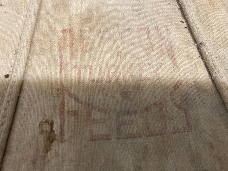 Beacon Feeds Turkey Bib Coat