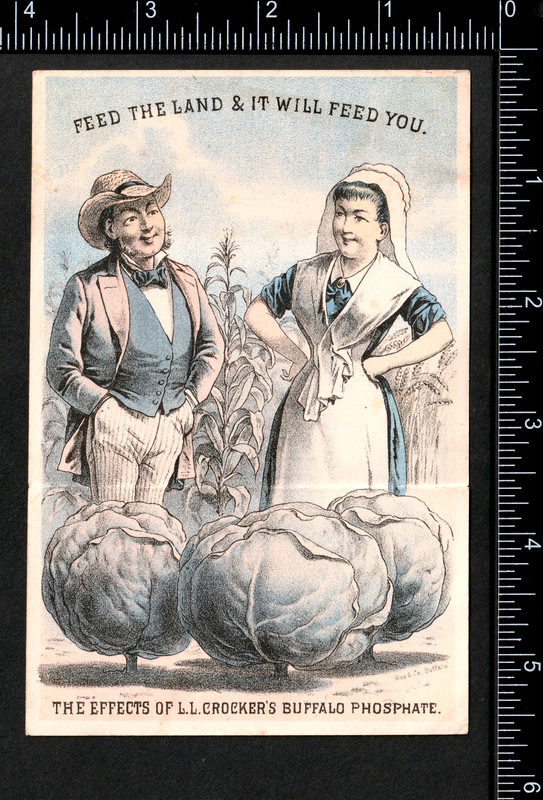 Fantasy Farm Buffalo Bone Fertilizer 1880 Calendar Victorian Trade Card SR.f.fBP gallery