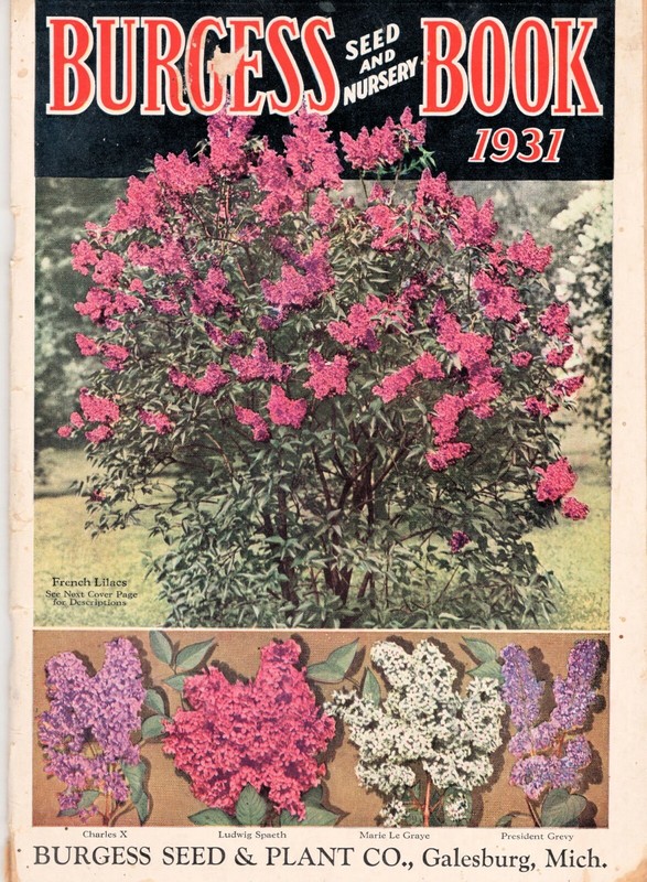 1931 Burgess Seed and Nursery Catalog Book, Flowers, Vegetables, Galesburg, Mich