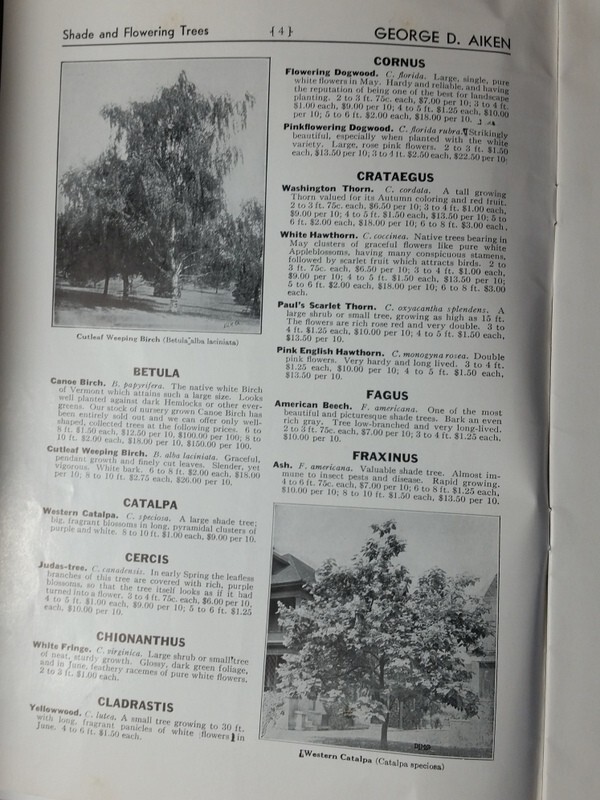 1933 Trees and Plants From Vermont Catalog Putney, Vermont George D. Aiken gallery