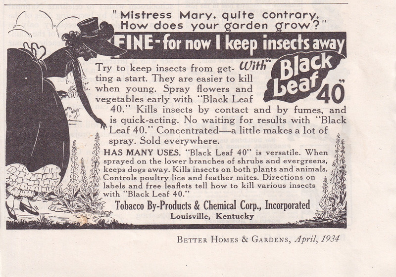 Tobacco By Products & Chemical Co Louisville KY 1934 Print Ad 5″x4″ Insect Spray