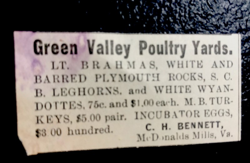 1900 Green Valley Poultry Chicken Farm Advertising - McDonald Mills - Virginia