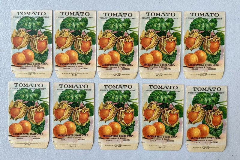 1918 Tomato Yellow Husk or Ground Cherry Archias Empty Seed Packets Sedalia MO