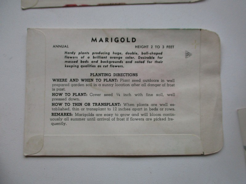 7 Antique HUMPHRIES & WEBBER Flower Seed Packet Envelopes New Old Stock VTG Lot gallery