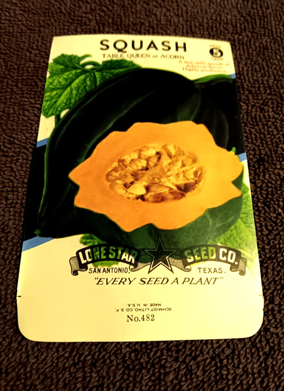 Old Vintage Lone Star Seed Co Acorn Squash Packet Empty 1940/50s