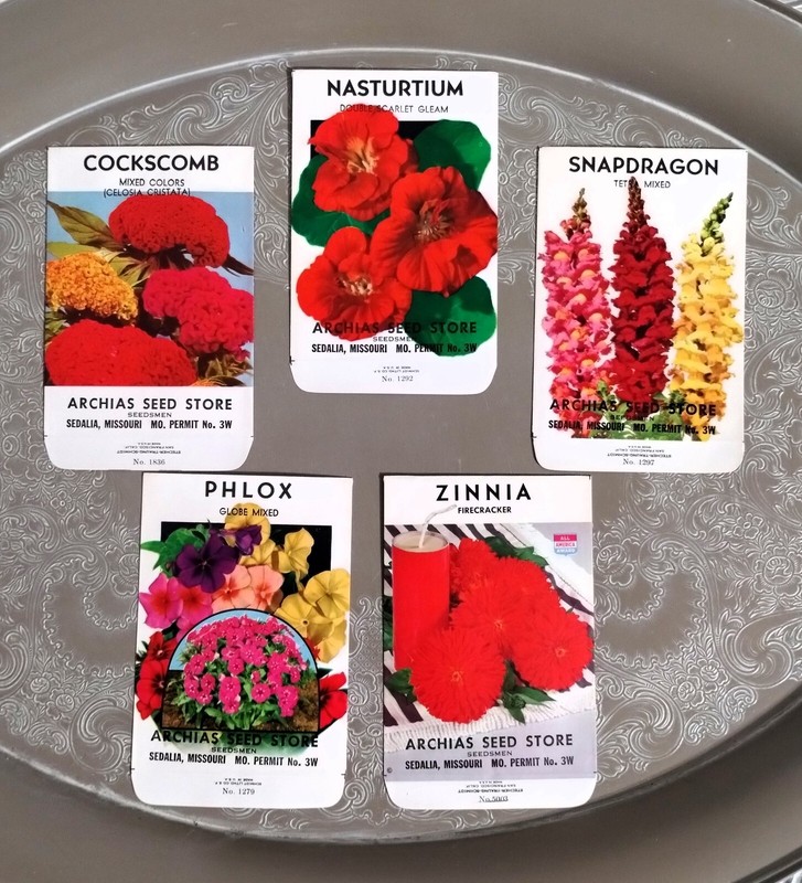 Lot: 5 Vintage Unused Lithographed Flower Seed Packets; Schmidt Litho Co. NOS