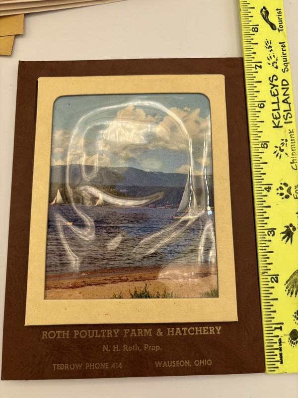Wauseon OH Poultry Farm Ephemera Calendars Magnifier Spring Hill Roth Hatchery gallery