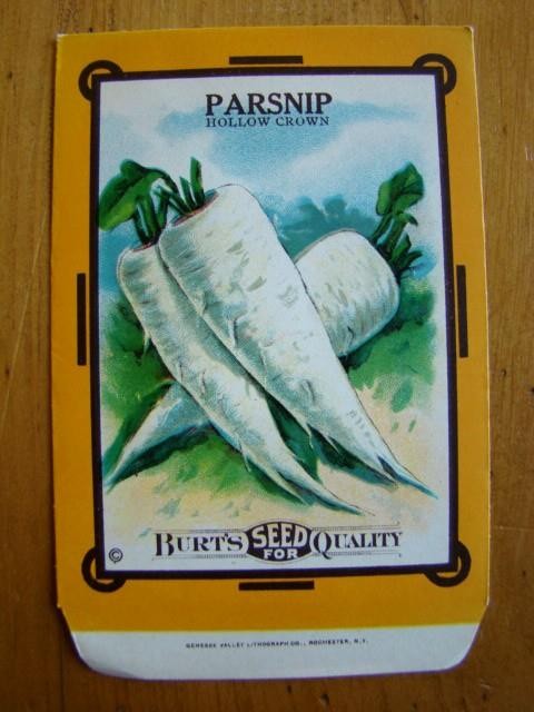 Antique PARSNIP, Burt’s Seed For Quality PACKET Country Store, Unused