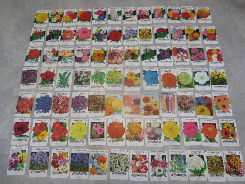 HUGE COLLECTION of 400+ Old Vintage 1940’s-70’s SEED PACKETS – ALL DIFFERENT